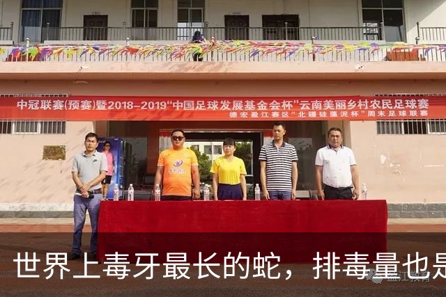 世界上毒牙最长的蛇，排毒量也是世界第二，行动低调，却是公认“毒蛇大佬”