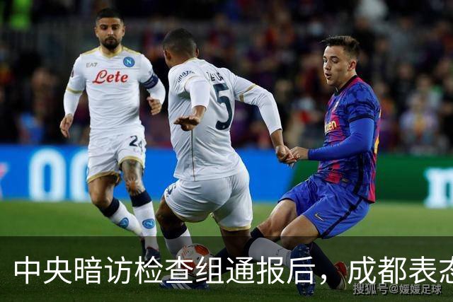 中央暗访检查组通报后，成都表态：已立案调查，拟顶格处罚