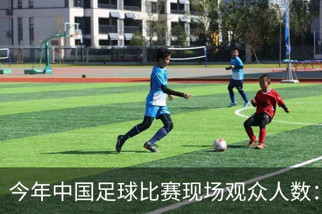 今年中国足球比赛现场观众人数：工体最多，梭鱼湾占据第2至第15