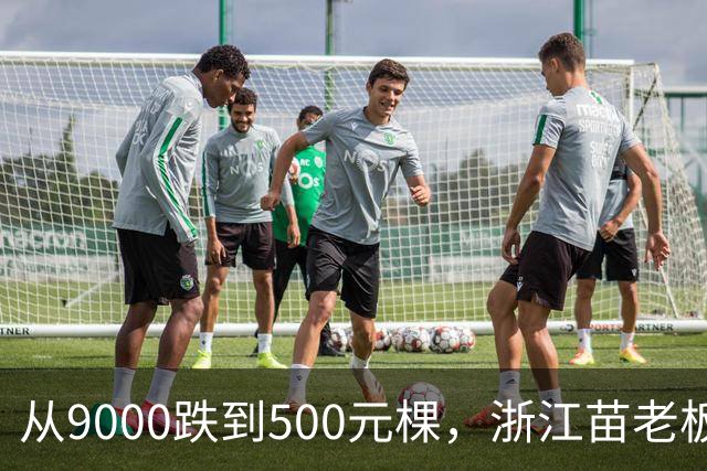 从9000跌到500元/棵，浙江苗老板硬刚：砍了当柴也不贱卖！