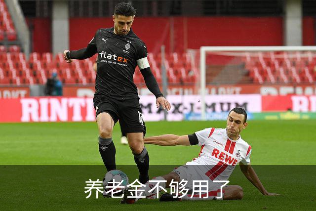 养老金不够用了