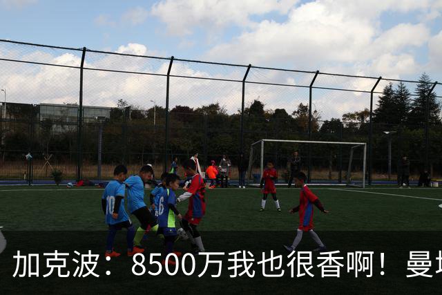 加克波：8500万我也很香啊！曼城：不，我们要花1.25亿买恩佐，这叫格局