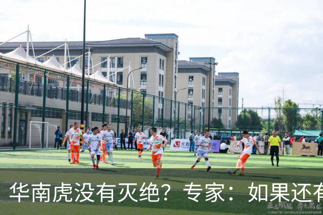 华南虎没有灭绝？专家：如果还有，最可能在山西，不在广东福建