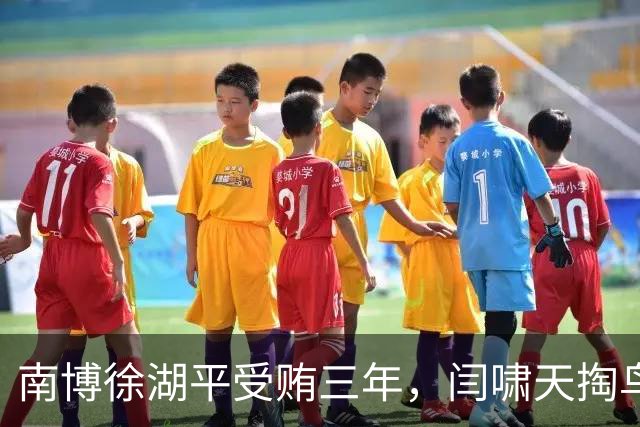 南博徐湖平受贿三年，闫啸天掏鸟十年半：两把法律尺子刺痛大众正义