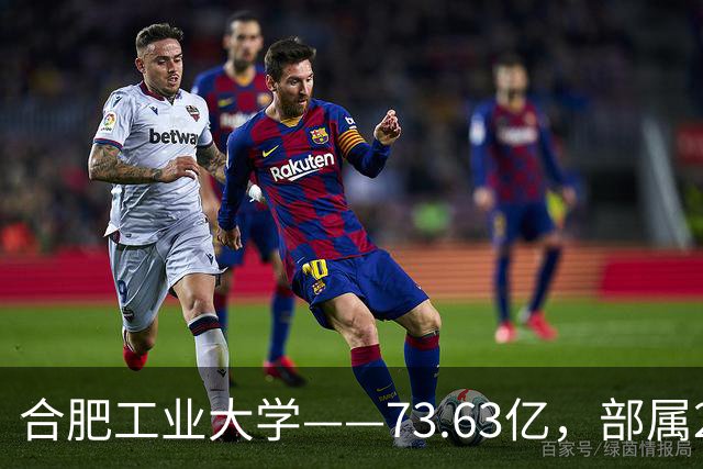 合肥工业大学——73.63亿，部属211，为什么跑不赢同级别院校