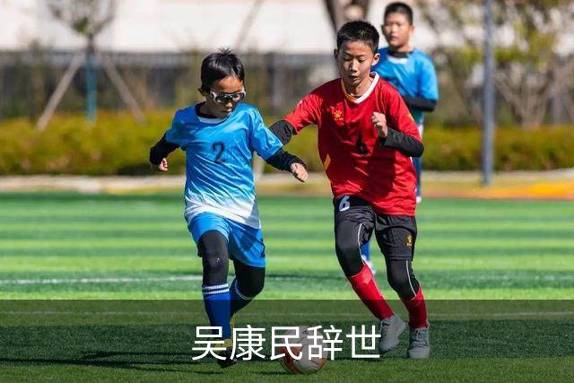 吴康民辞世