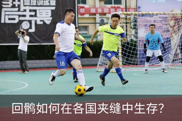 回鹘如何在各国夹缝中生存？