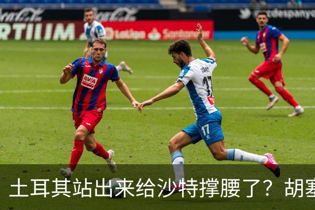 土耳其站出来给沙特撑腰了？胡塞直接划红线：谁给支持就打谁