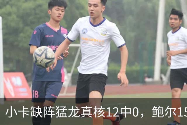 小卡缺阵猛龙真核12中0，鲍尔15+8华子26分，森林狼屠龙夺三连胜