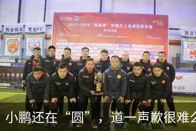 小鹏还在“圆”，道一声歉很难么