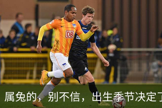 属兔的，别不信，出生季节决定了你是“伺候人”还是“被人伺候”