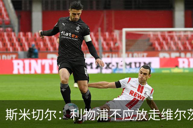 斯米切尔：利物浦不应放走维尔茨，应给他更多适应时间