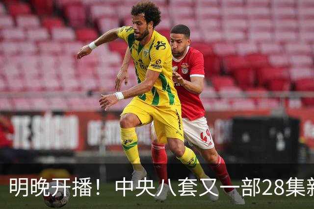 明晚开播！中央八套又一部28集新剧来袭，阵容豪华，又有大剧看