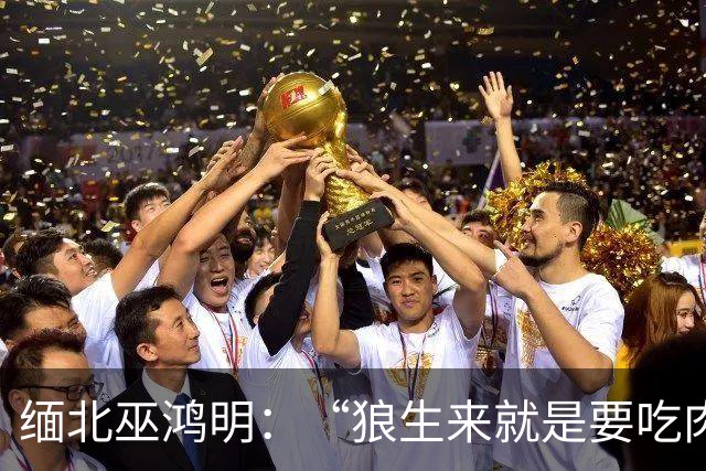 缅北巫鸿明：“狼生来就是要吃肉的”