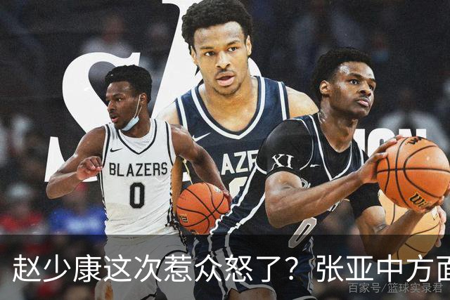 赵少康这次惹众怒了？张亚中方面直接翻旧账，郑丽文格局高下立判