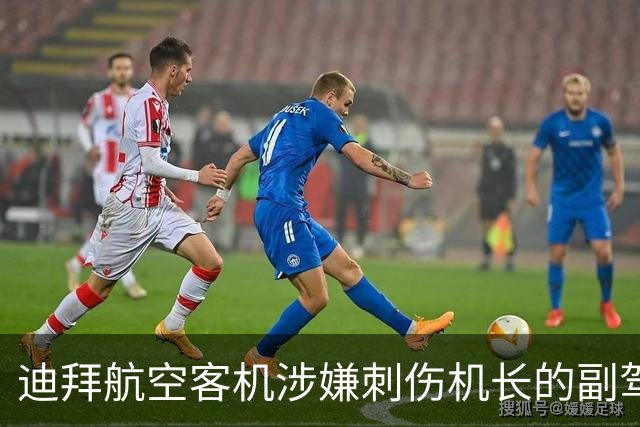 迪拜航空客机涉嫌刺伤机长的副驾驶承认意图“坠毁飞机”，乘客回忆惊险瞬间：多名乘客和袭击者搏斗，地板上全是血，不到30秒客机可能坠毁