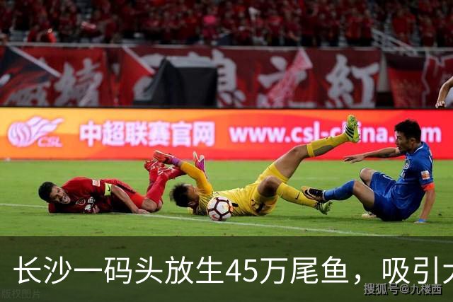 长沙一码头放生45万尾鱼，吸引大量钓友扎堆，网友调侃“人比鱼多”；官方回应：此处禁渔但不禁钓，可以开展休闲垂钓活动