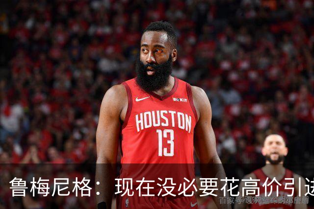 鲁梅尼格：现在没必要花高价引进维尔茨，将来会怎样我不知道