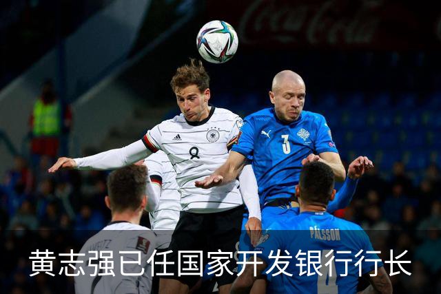 黄志强已任国家开发银行行长