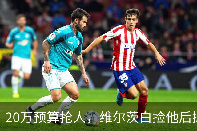 20万预算抢人，维尔茨白捡他后搓手：太顶了
