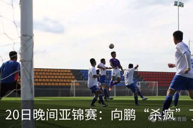 20日晚间亚锦赛：向鹏“杀疯”了，李天阳造惨案，国乒剑指冠军！