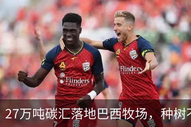 27万吨碳汇落地巴西牧场，种树不赶牛还能多一份收入