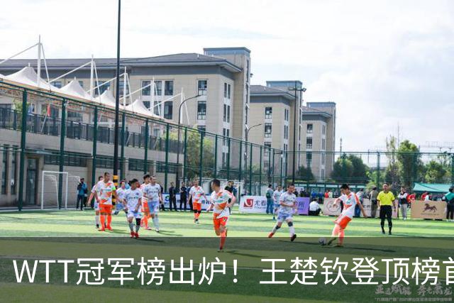 WTT冠军榜出炉！王楚钦登顶榜首，樊振东上榜，双冠王曼昱却无缘榜首
